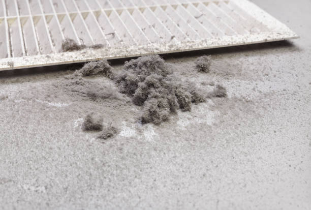 Best Affordable Air Duct Cleaning  in Homestead Valley, CA