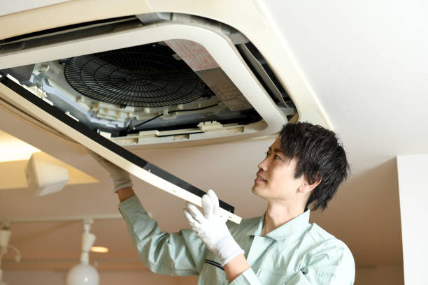 Best HVAC System Cleaning  in Homestead Valley, CA
