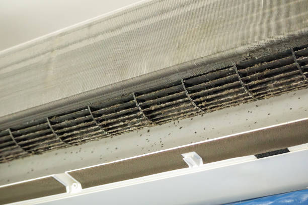 Best Best Air Duct Cleaning Company  in Homestead Valley, CA