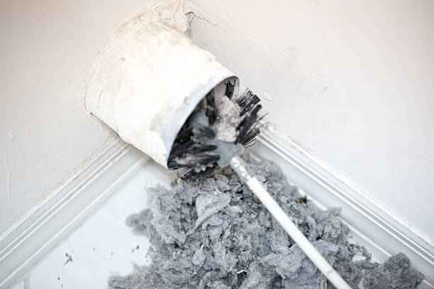 Best Dryer Vent Cleaning Services  in Homestead Valley, CA